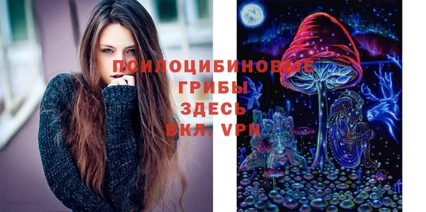 амф Заводоуковск