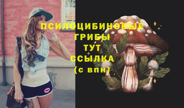 амф Заводоуковск