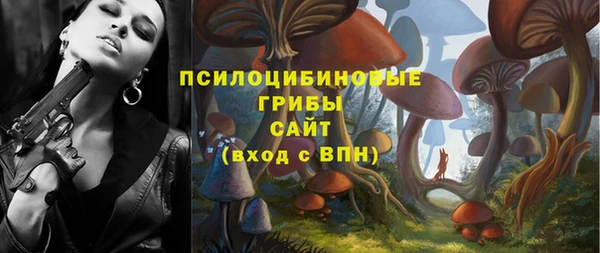 амф Заводоуковск