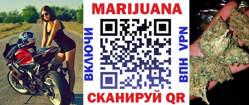 Купить  Терек  Канабис семена 